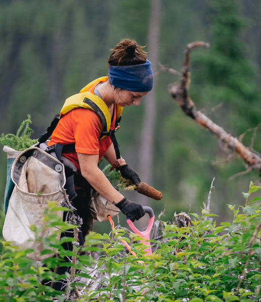 Actions environnementale
