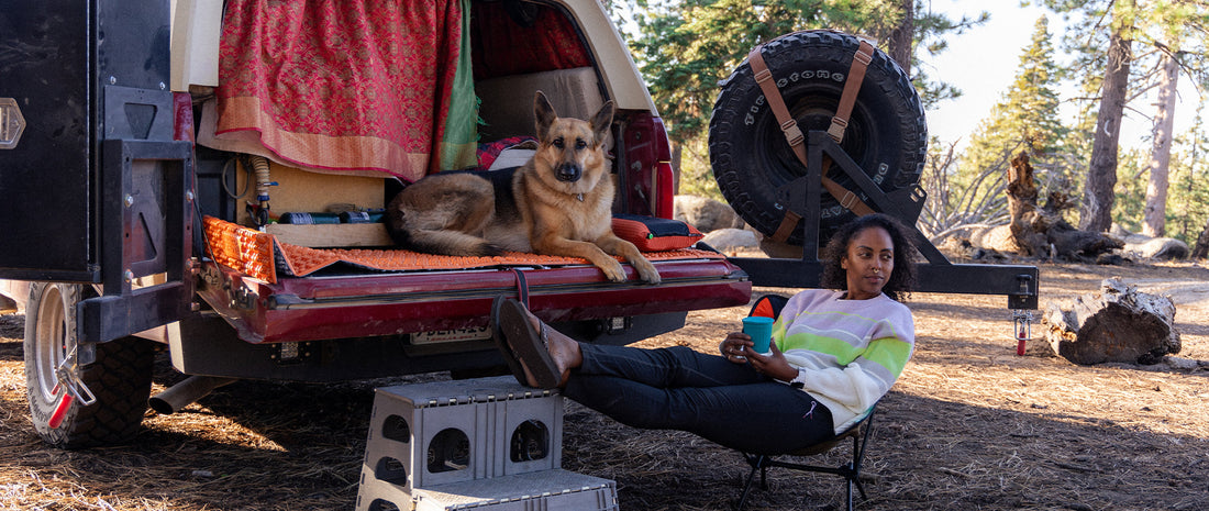 A woman and her dog sat out the back of a truck