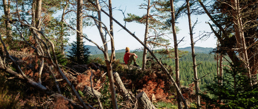 a man sits on a fallen tree in the woods