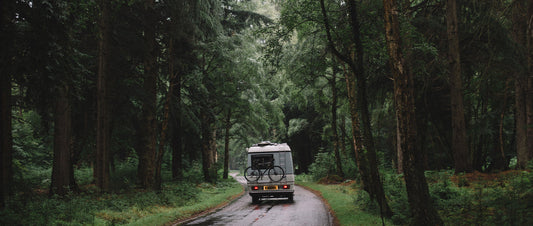 A campervan driving away through a pine forest