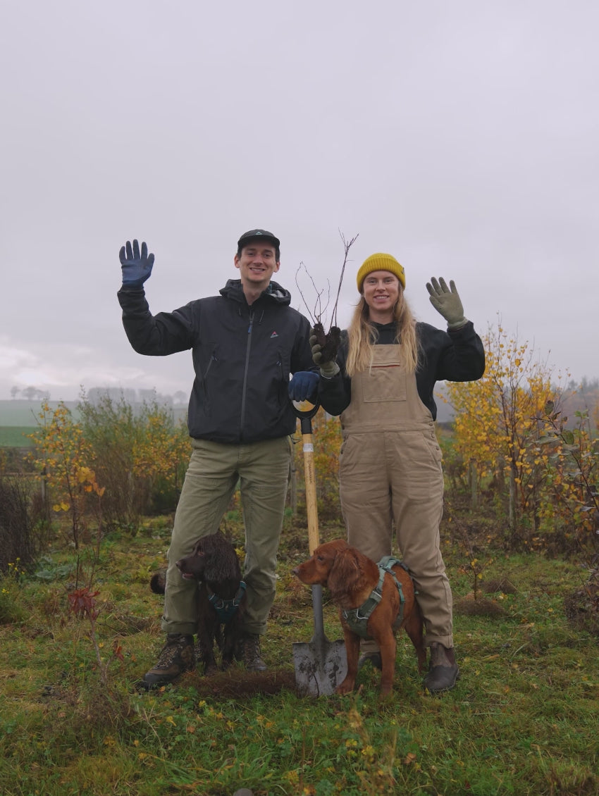Charger la vidéo: Team Tree Planting Video