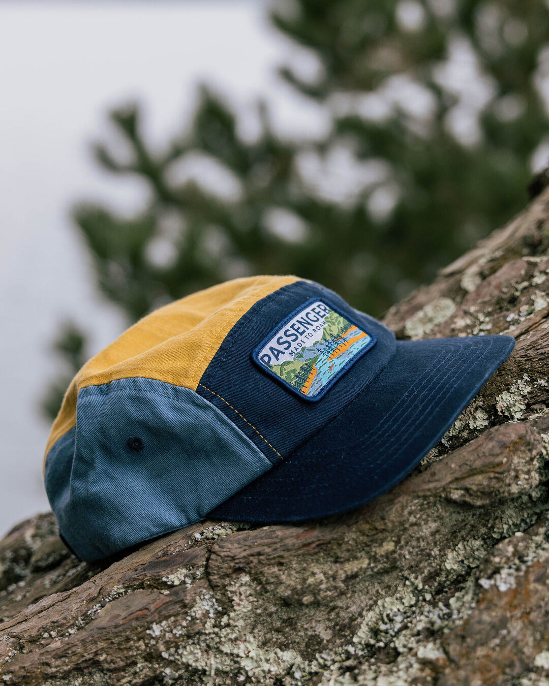 Love The Wild Recycled Cotton 5 Panel Cap - Multi - Lifestyle
